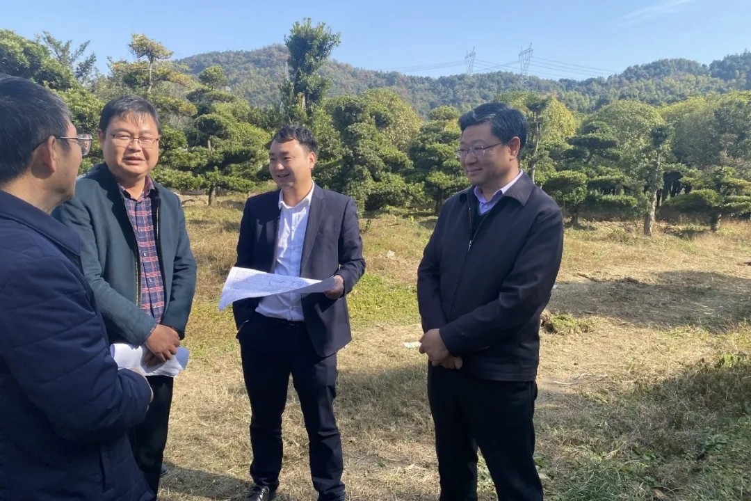 涂建平赴西二環(huán)高速項目和九洲高架東延項目現場調研指導工作